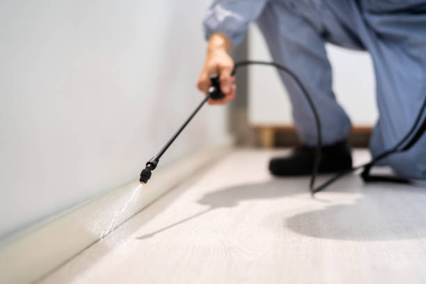 Licensed Mosquito Control service in Ammon, ID - Show Me Pest Control