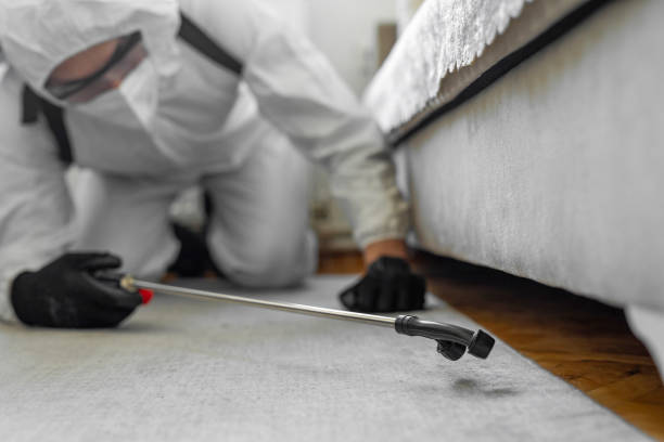 Professional Ant Control technician working in Ammon, ID