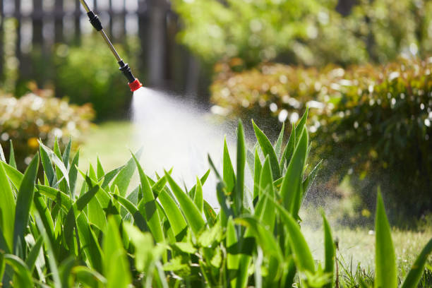 24/7 Emergency Mosquito Control experts in Ammon, ID
