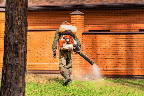Top rated local Mosquito Control specialists in Ammon, ID